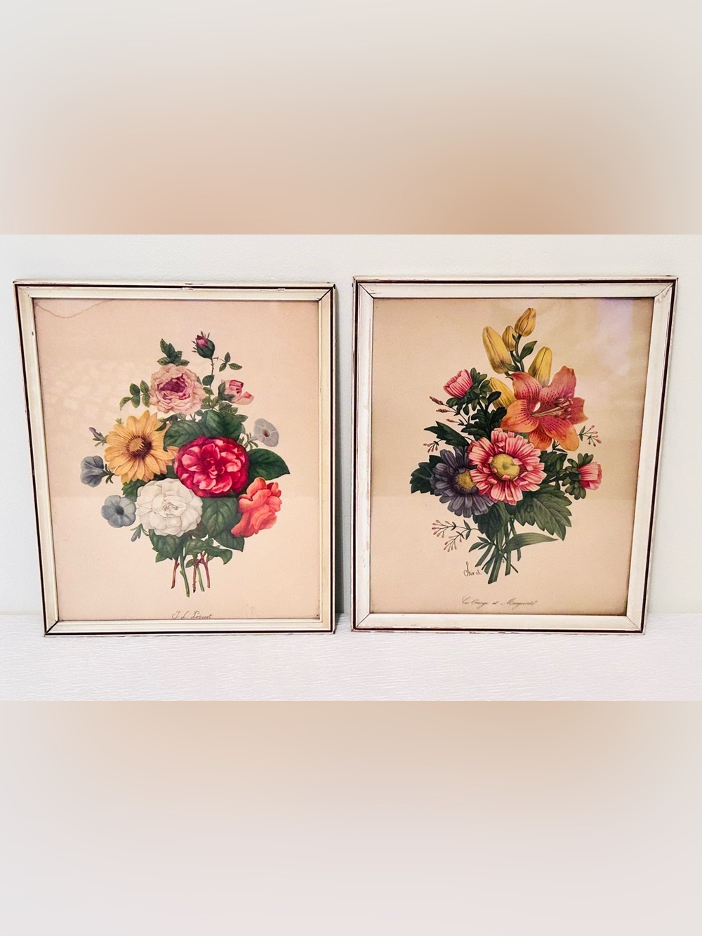 Vintage Botanical Floral Lithograph Framed Pre 1940’s Art Prints